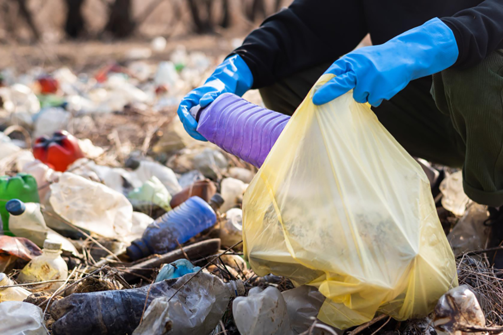 Hazardous Waste Management